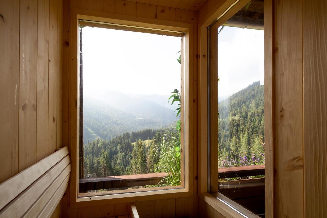 Bergblick Ruhe Und Aussicht Auf 1100M Appartement Sankt Lorenzen ob Murau Buitenkant foto