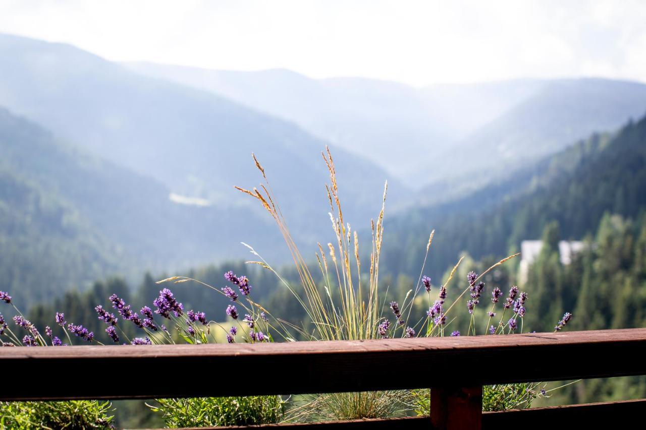 Bergblick Ruhe Und Aussicht Auf 1100M Appartement Sankt Lorenzen ob Murau Buitenkant foto