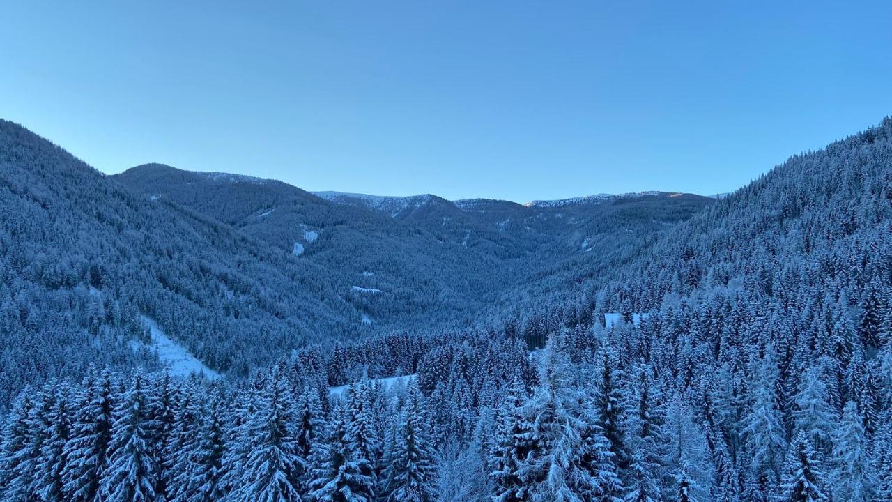 Bergblick Ruhe Und Aussicht Auf 1100M Appartement Sankt Lorenzen ob Murau Buitenkant foto